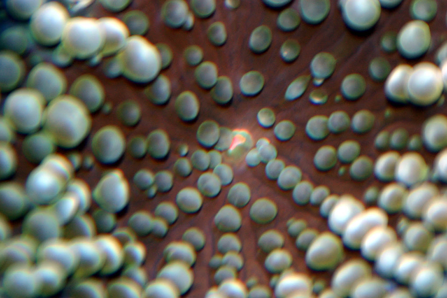 r1.jpg