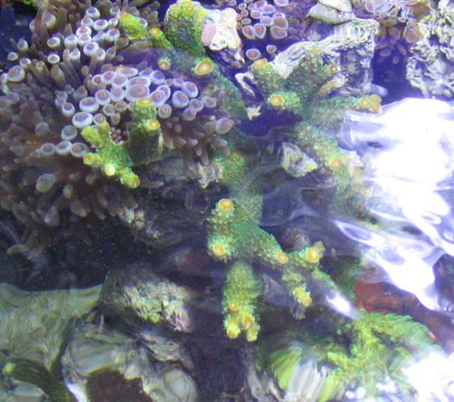 top view 1 small (Small).jpg