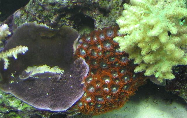 textures (Small).jpg