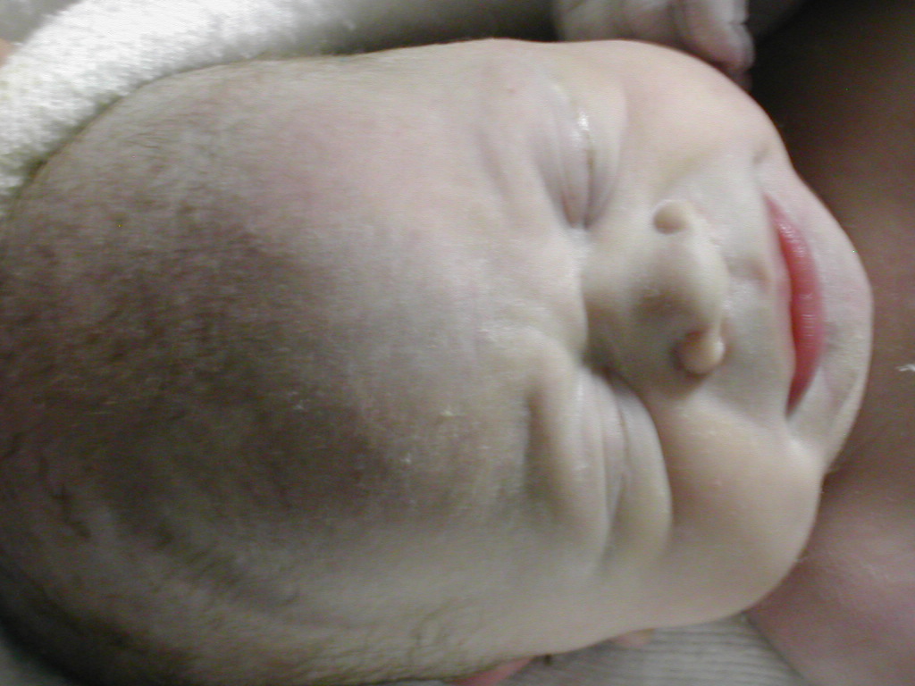 Campbell birth (11).jpg