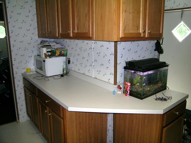 Side view of proposed tank site. see my puffer tank already in the kitchen (thats what gave me the idea for the kitchen reef tank