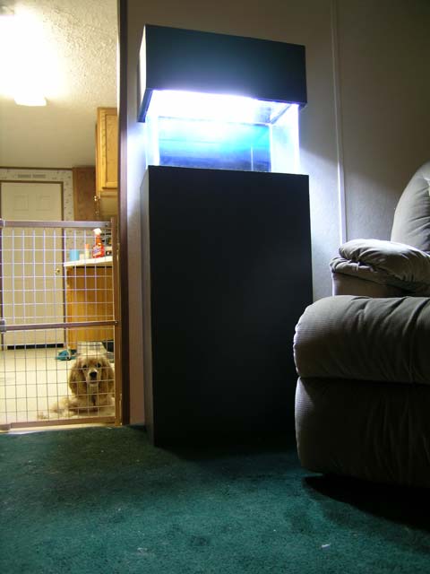 Here is the stand that I built for the nano.
<br />I will add a door to the front soon..the middle is just covered with laminate that has nothing behind it.