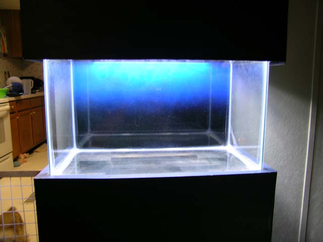 10g that I may replace with a 19g tomorrow