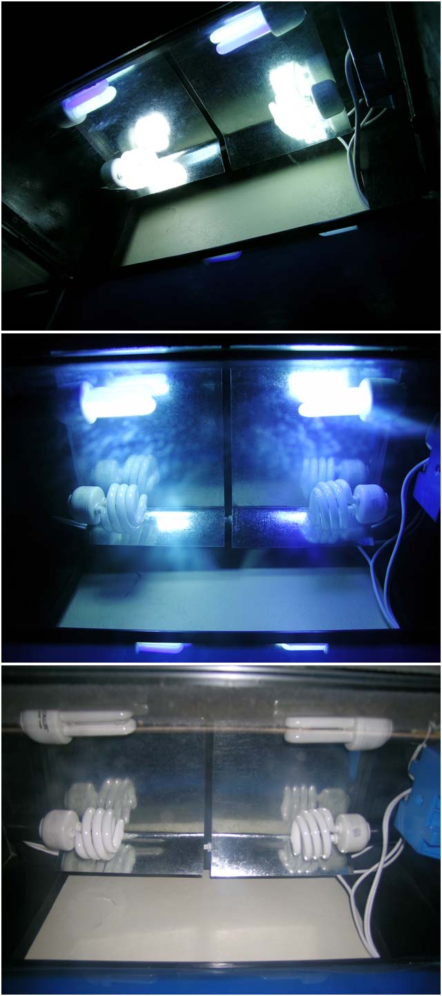 These are the lights