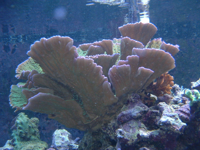 cap07-11-04.JPG