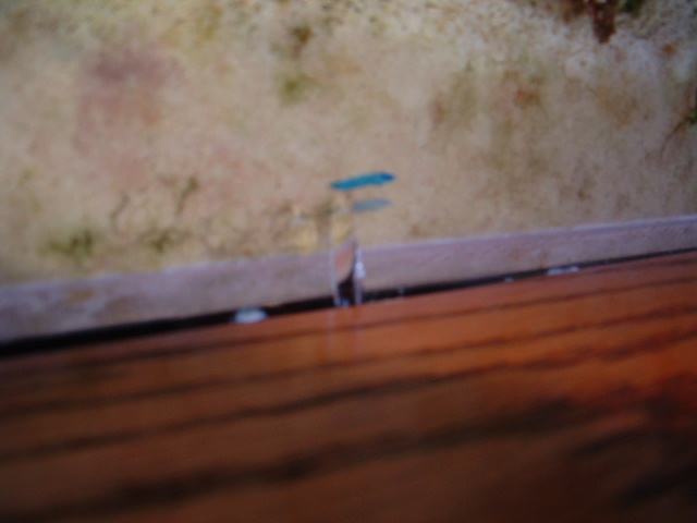 crack07-11-04.JPG