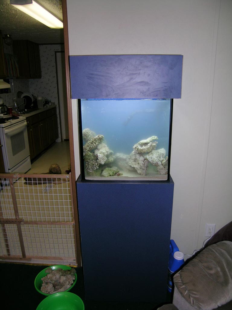 Front of my new 18g nano before all sediments are settled.