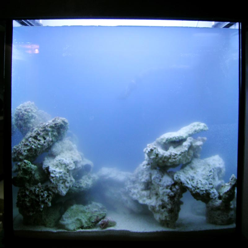 Closeup of 18g before all sediments are settled