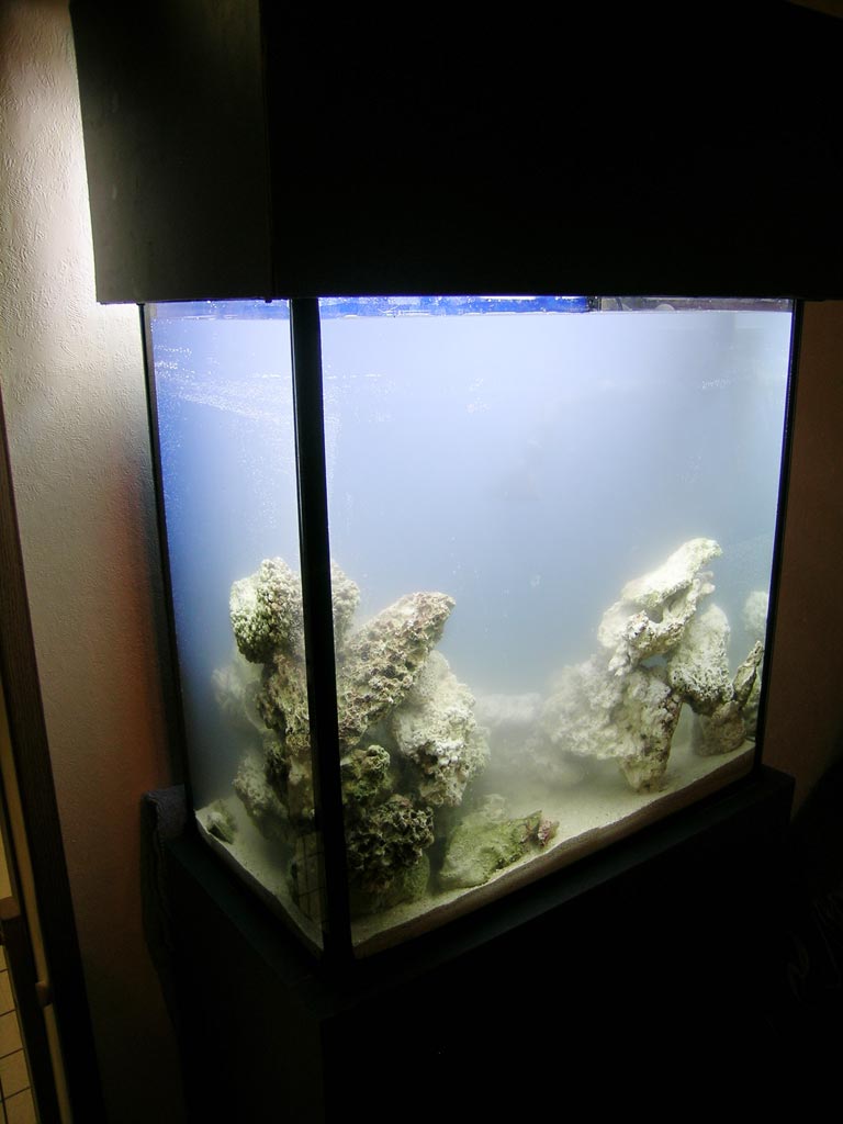 Side view of 18g before all sediments are settled