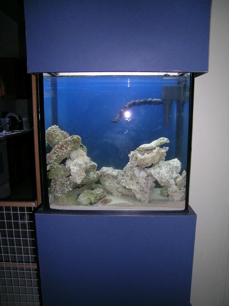 Here is the 18g nano after it had time to settle.