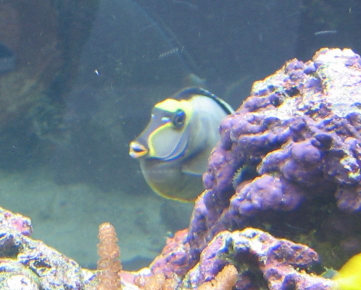 File0010-small.jpg
