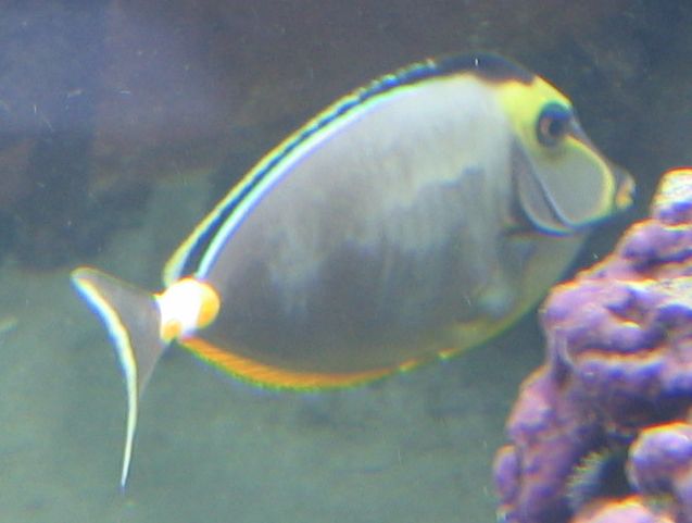 File00110-small.jpg