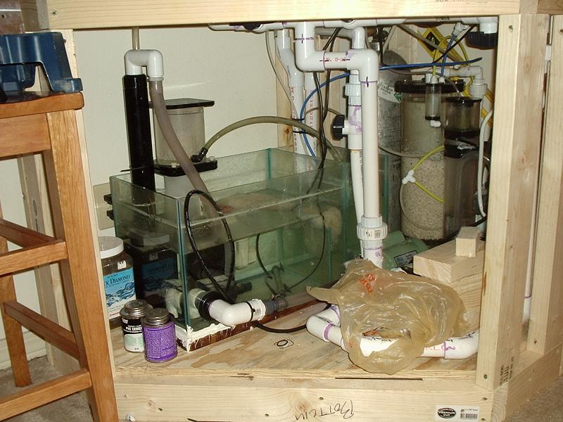 skimmer tank and pumps