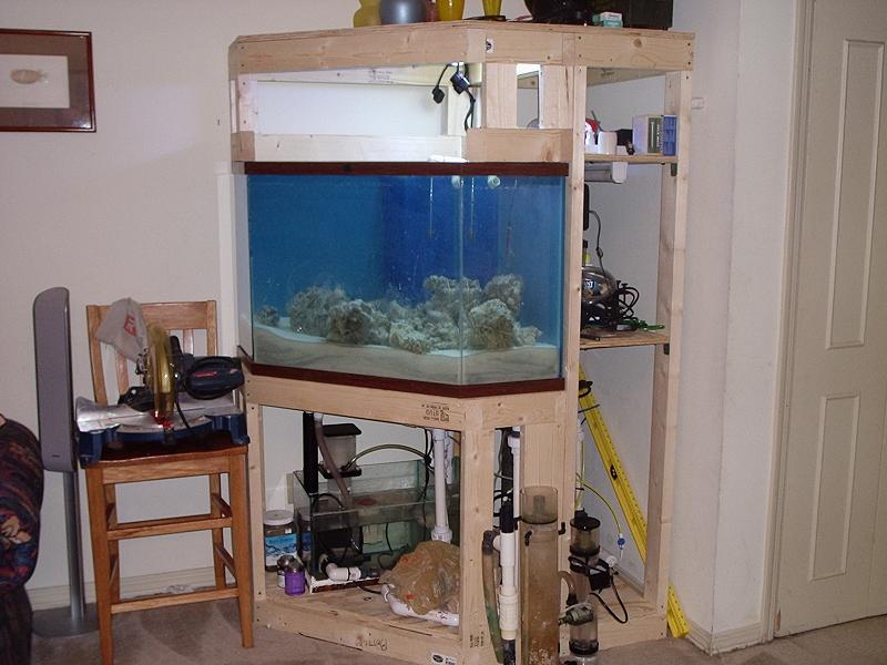 full shot of tank