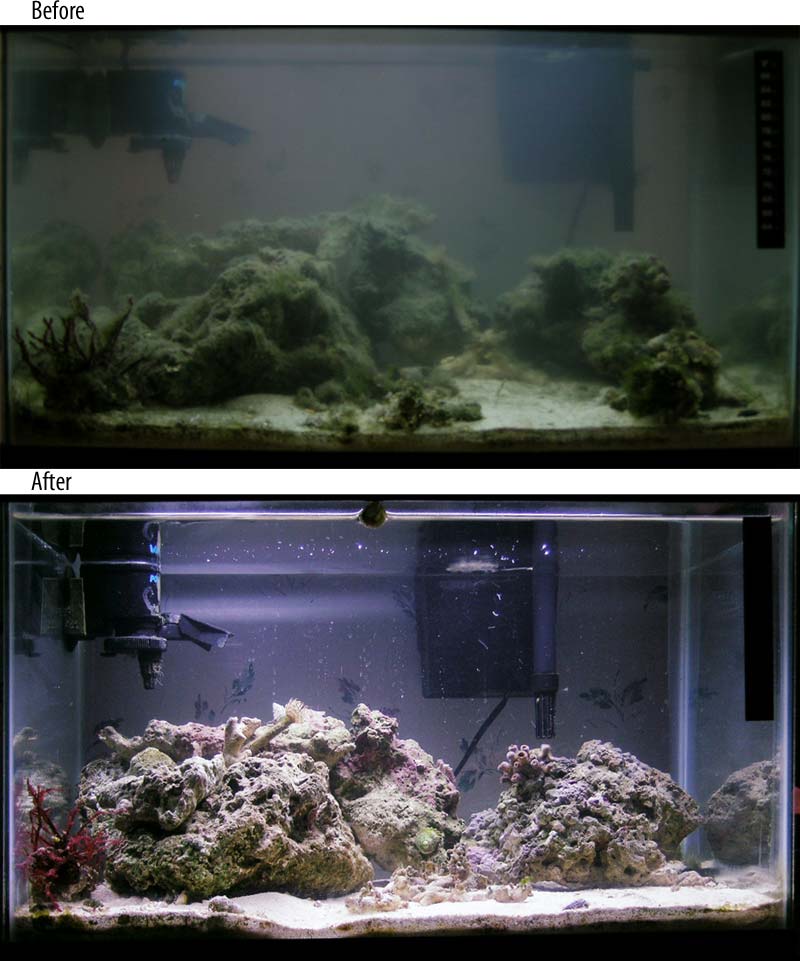 10g nano Before and After (hours of scrubbing!)