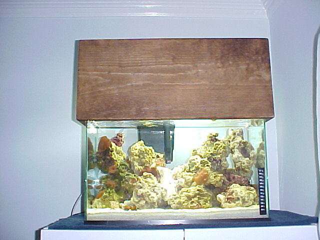 MVC-029F.JPG