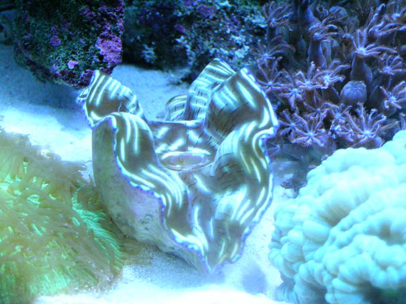 DSCN1292.jpg