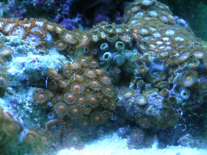 DSCN1295.jpg