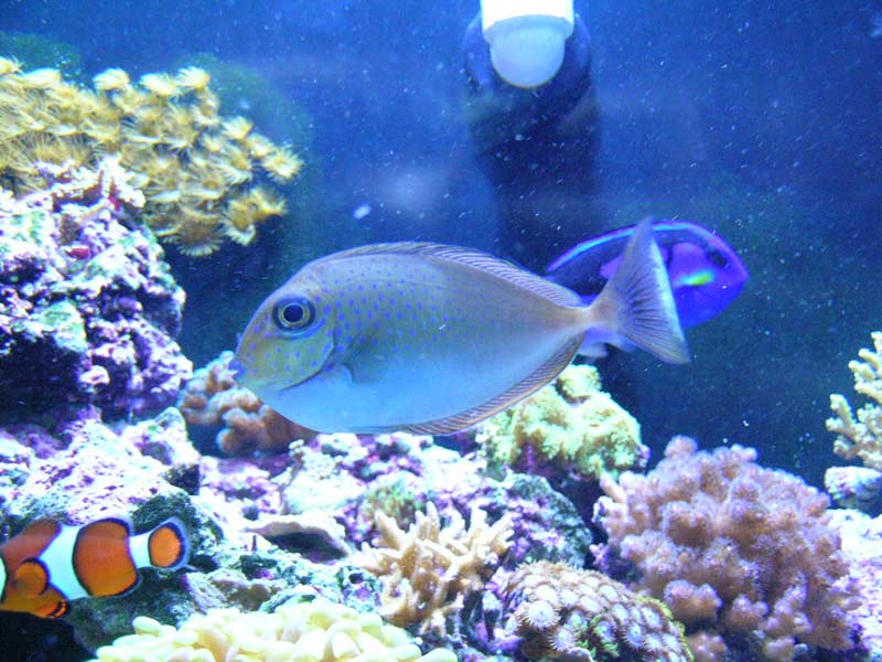 DSCN1310.jpg