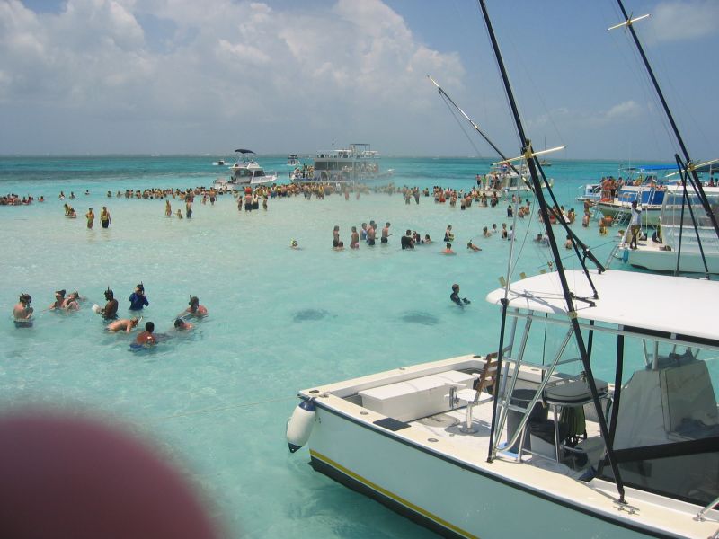 stingray city (crowded)