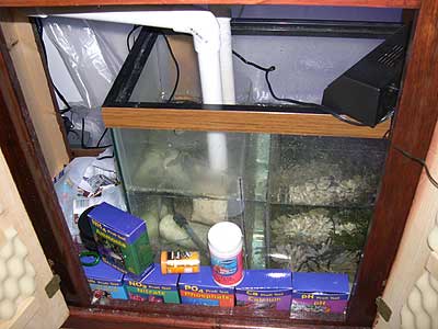 left-side-of-sump.jpg