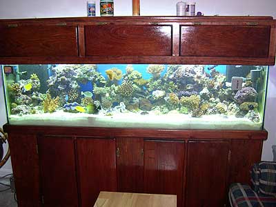 full-tank-shot.jpg