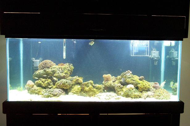 TANK1.JPG