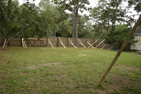 fence1.jpg