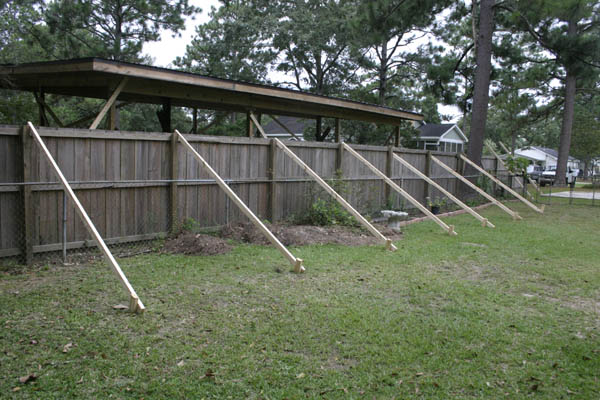 fence2.jpg