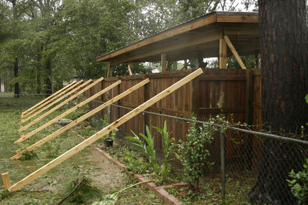 fence1.jpg