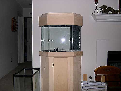 leslies-new-tank.jpg