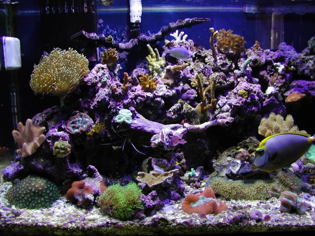 125l.jpg