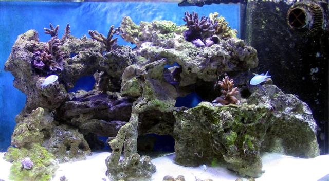 Right side of tank