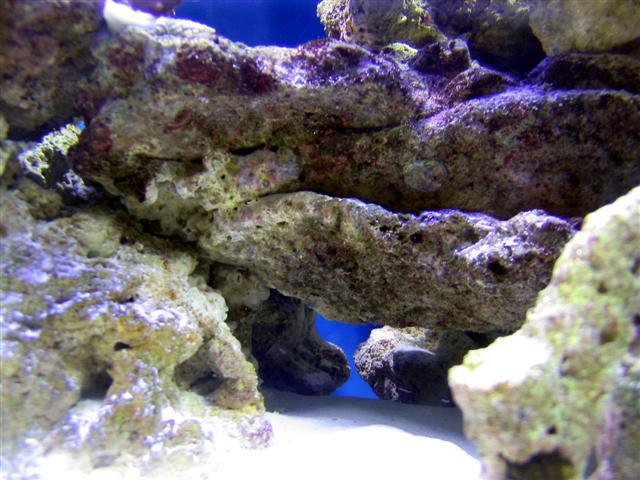 Close view of a lower cave