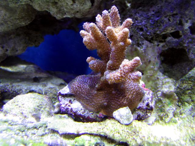 m(Small).jpg