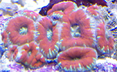 HPIM0397.JPG