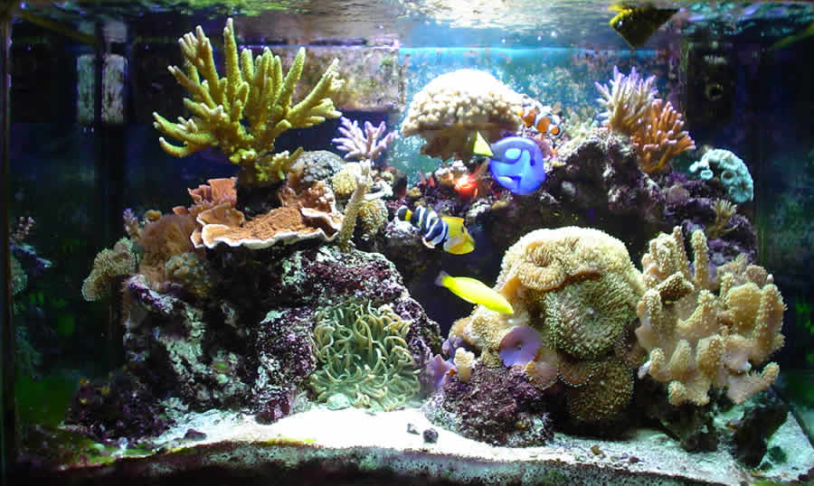 65G taken on 11/18/2004