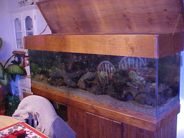 new 125 gal tank