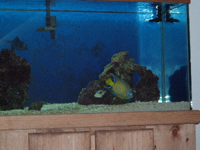 DSCF0069.JPG