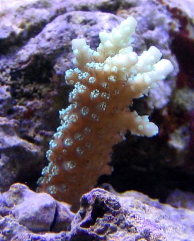 11 (Small).jpg