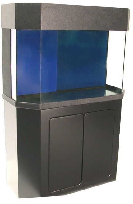 Eco%20with%20Hex%20Blk.jpg