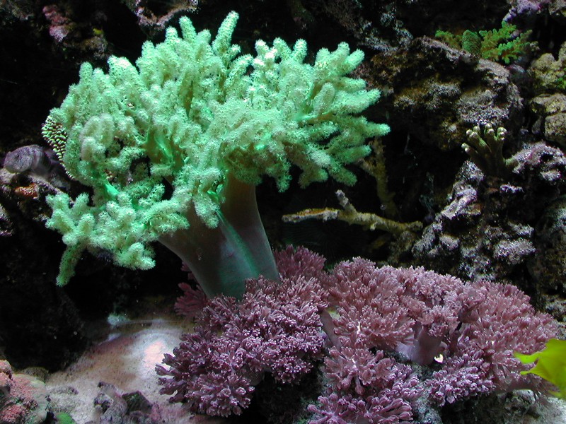 2-11-2005 021 edit.jpg