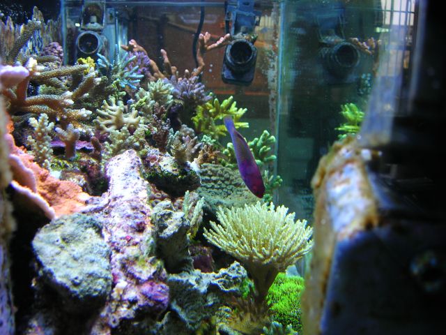 Tank from left.jpg
