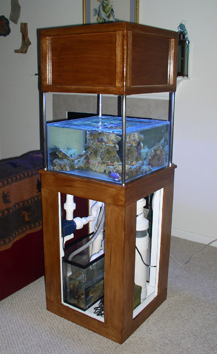 tank set up in living room.jpg
