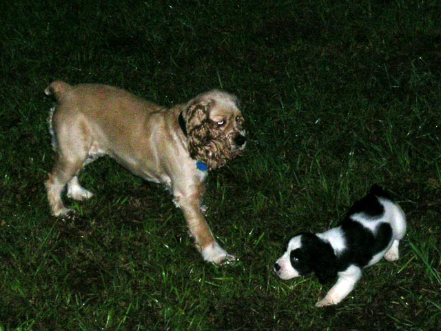 the girls still playing outside