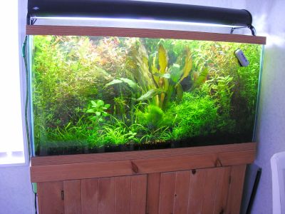 90 Gal.jpg