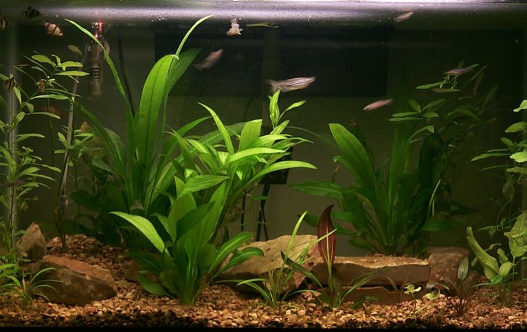 29G setup