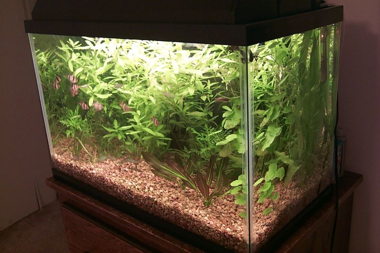 20G setup