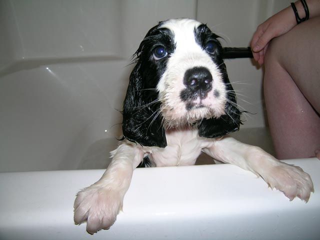 5 mins later...I don't like this bath thing anymore. DADDY GET ME OUT!!!!!