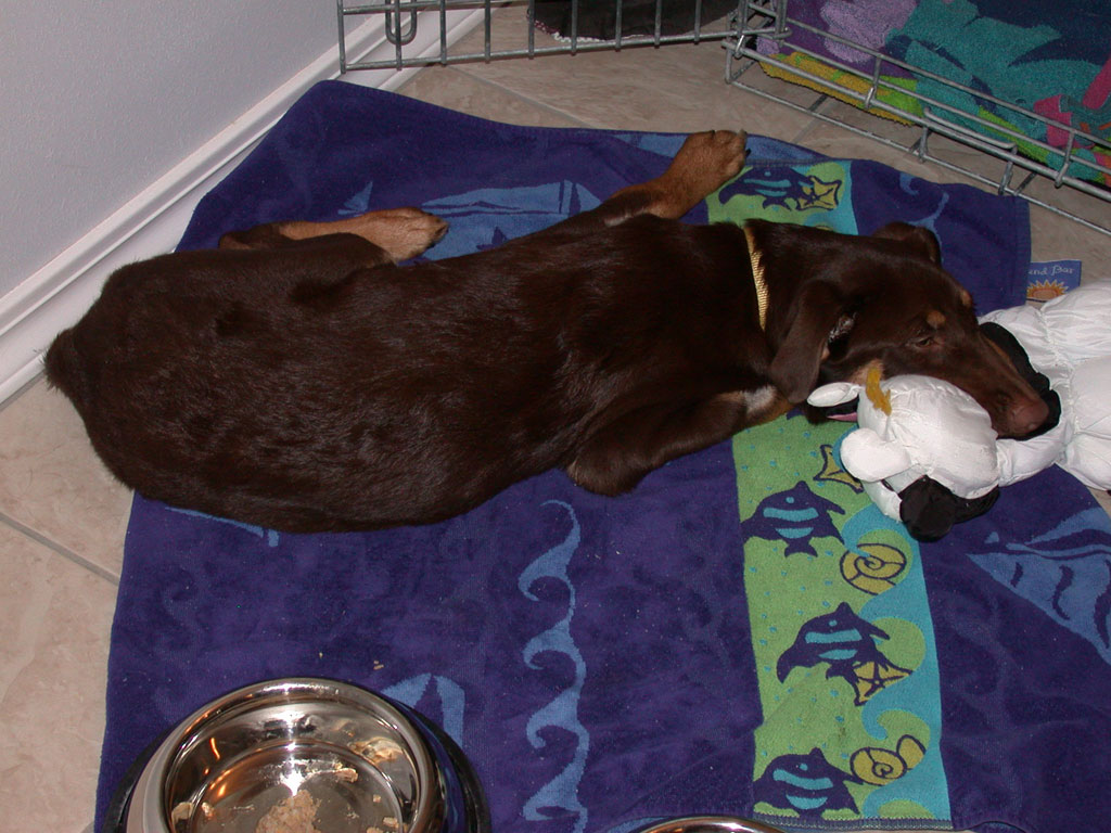 DSCN3364.jpg